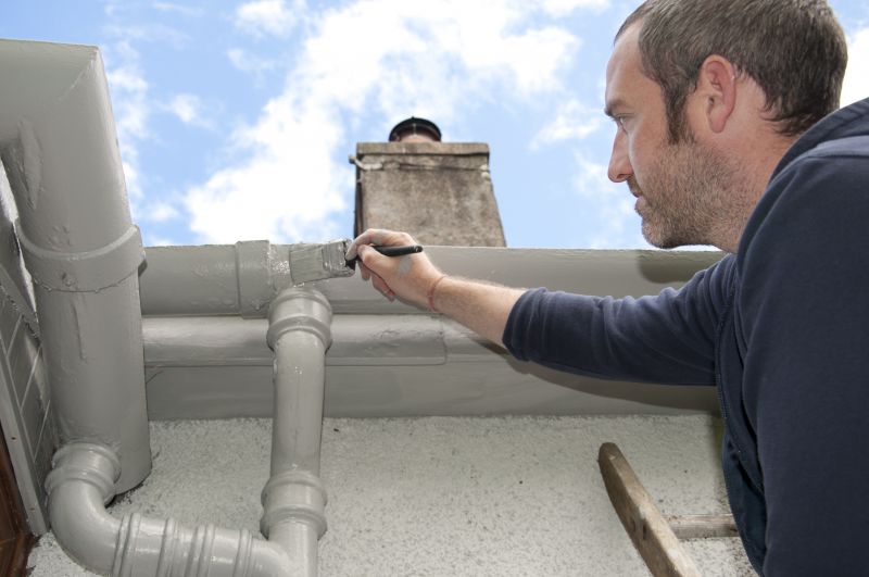 Roof and Gutter Painting